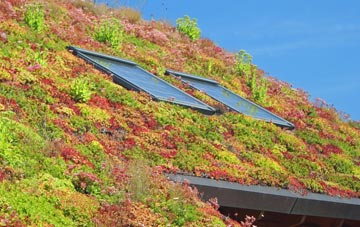 Houghton Regis living roof systems